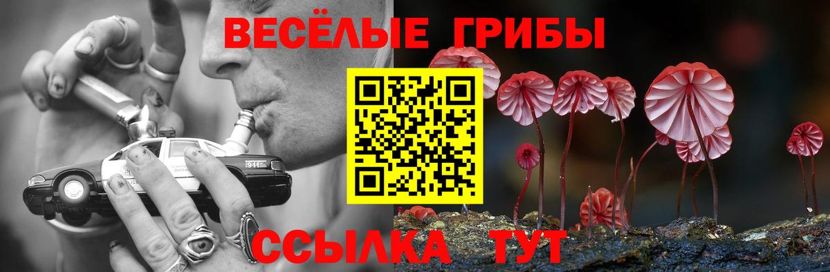 Галлюциногенные грибы Psilocybine cubensis  Вход с VPN  Павловский Посад 